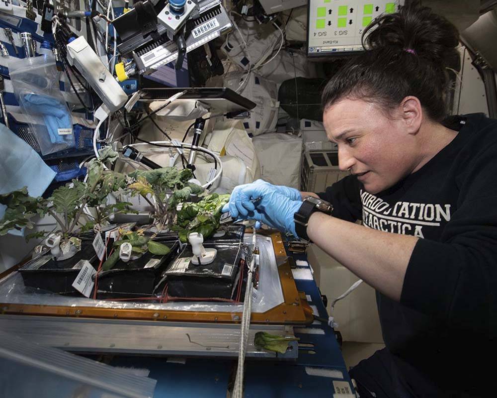 Jóven plantando semillas espaciales. Space Center Houston.