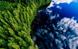 Vista de árboles y un cielo con nubes