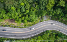 Vista áerea de una carretera que atraviesa un bosque