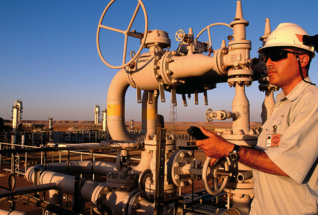 Operator at the Repsol facilities in Tin-Fouye