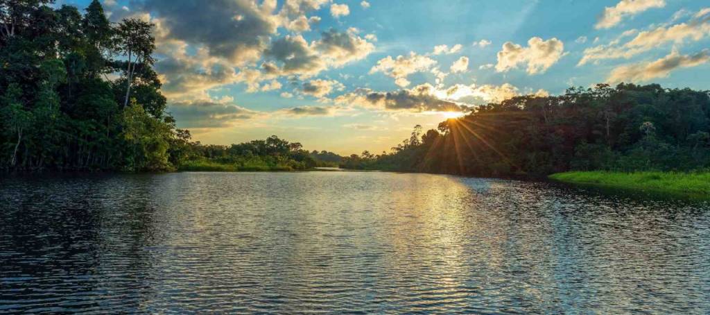 Río con vegetación frondosa a los lados