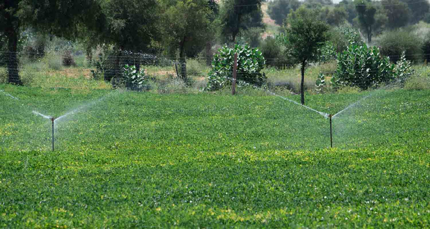 Comunidades y valor compartido. Vista de un campo regado por aspersores 