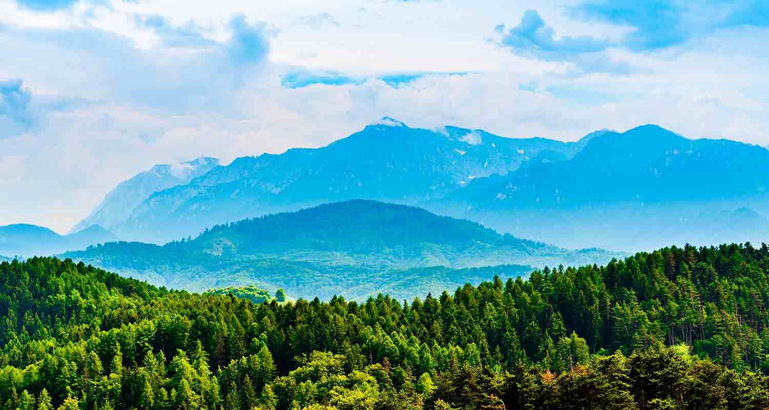 Paisaje de bosque y montañas