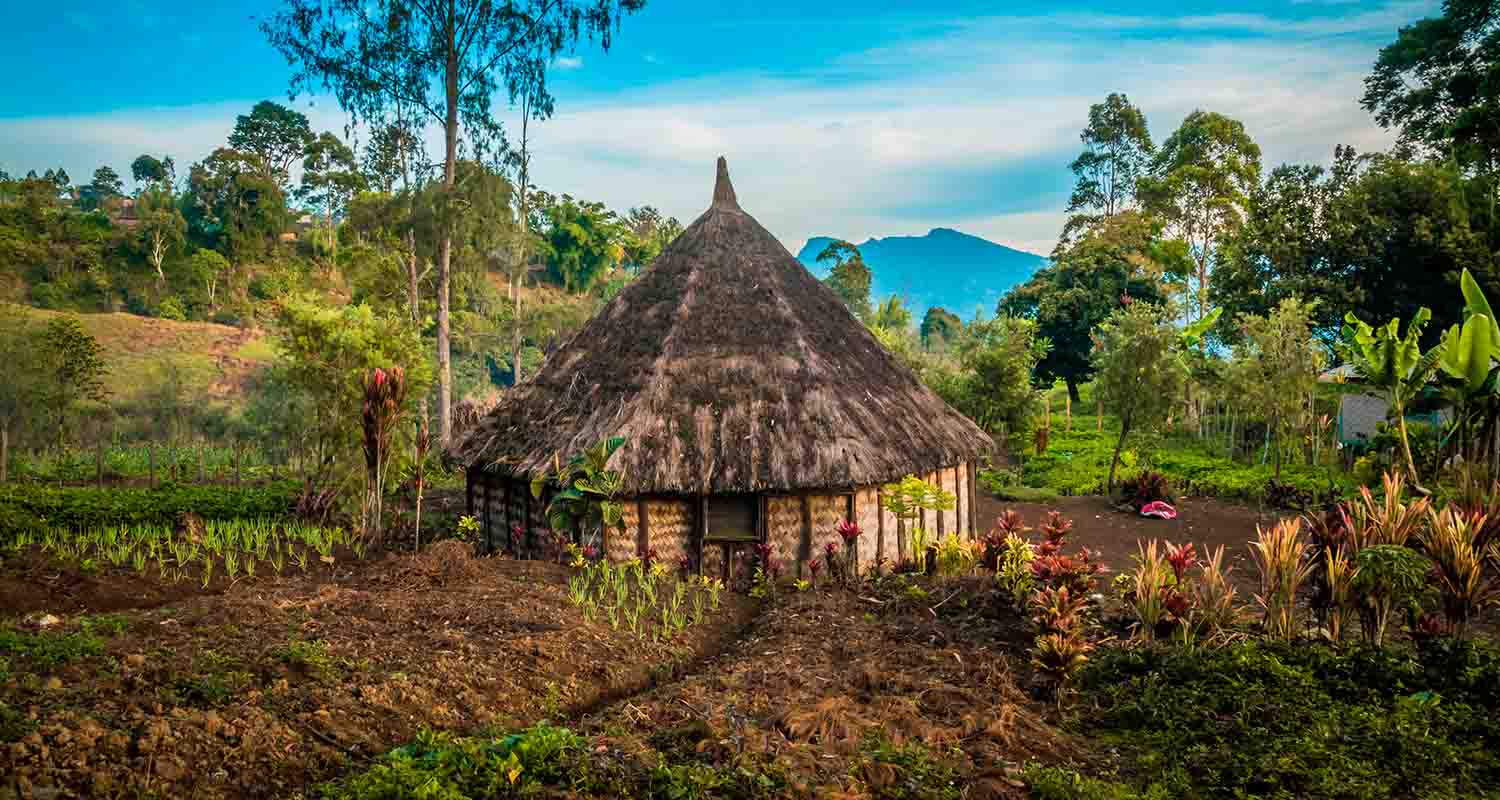 Una cabaña en el bosque 