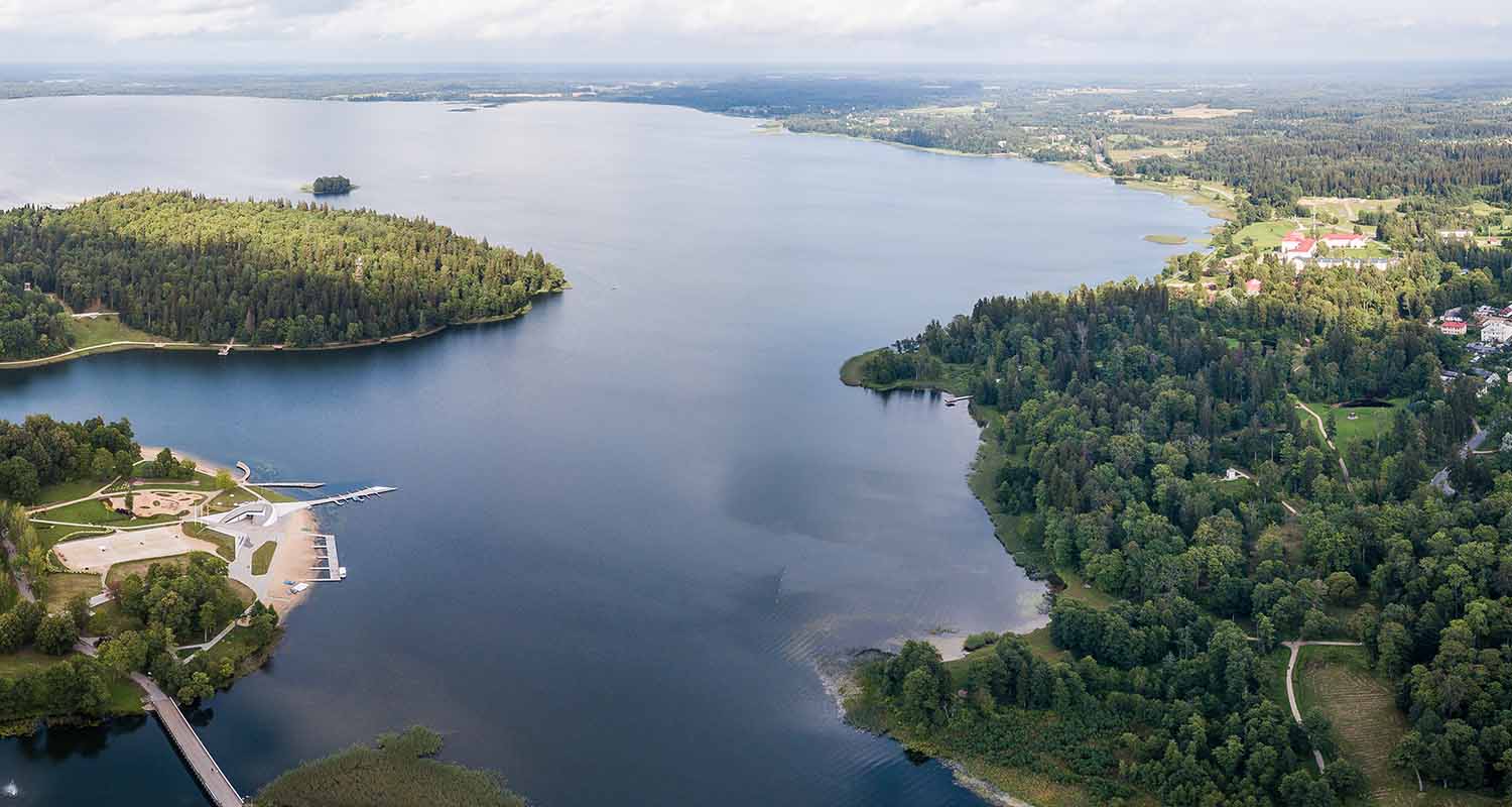 Lake surrounded by trees