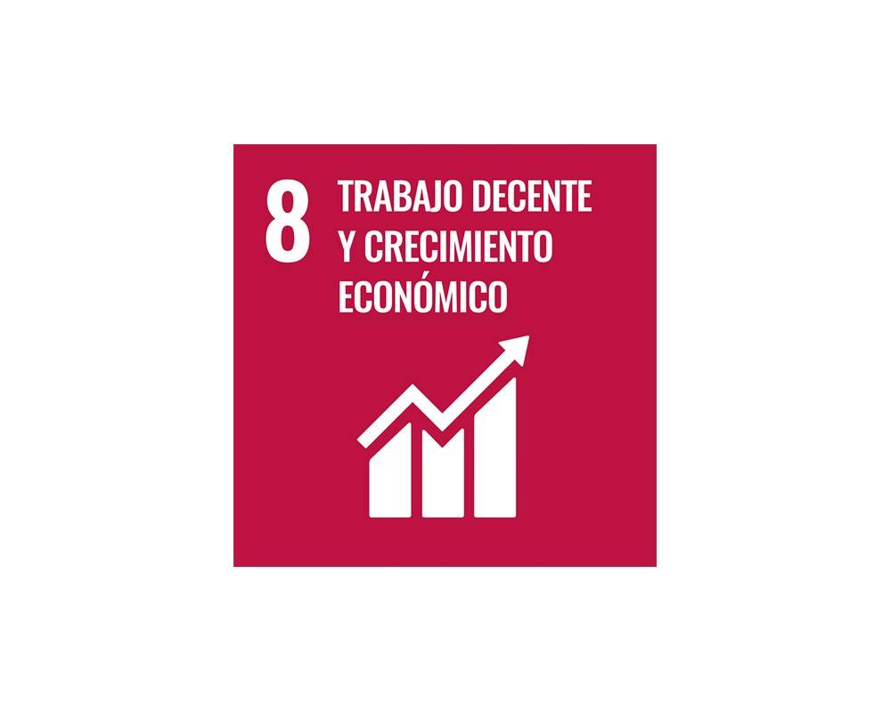 SDG 8 logo