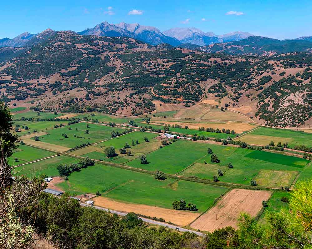 View of Greek fields