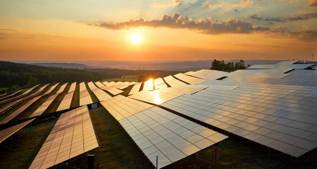 Paneles solares en el campo