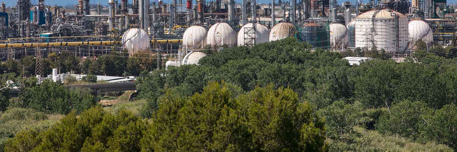 Árboles y refinería de fondo