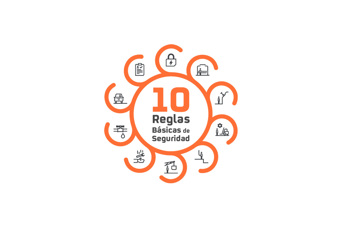 Logo 10 reglas básicas de seguridad