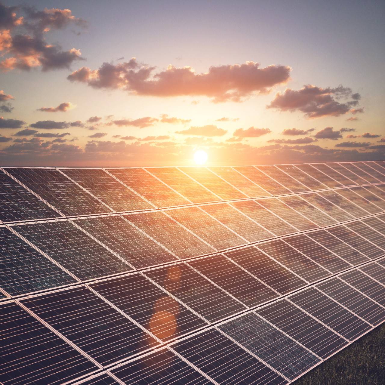 solar panels on a roof